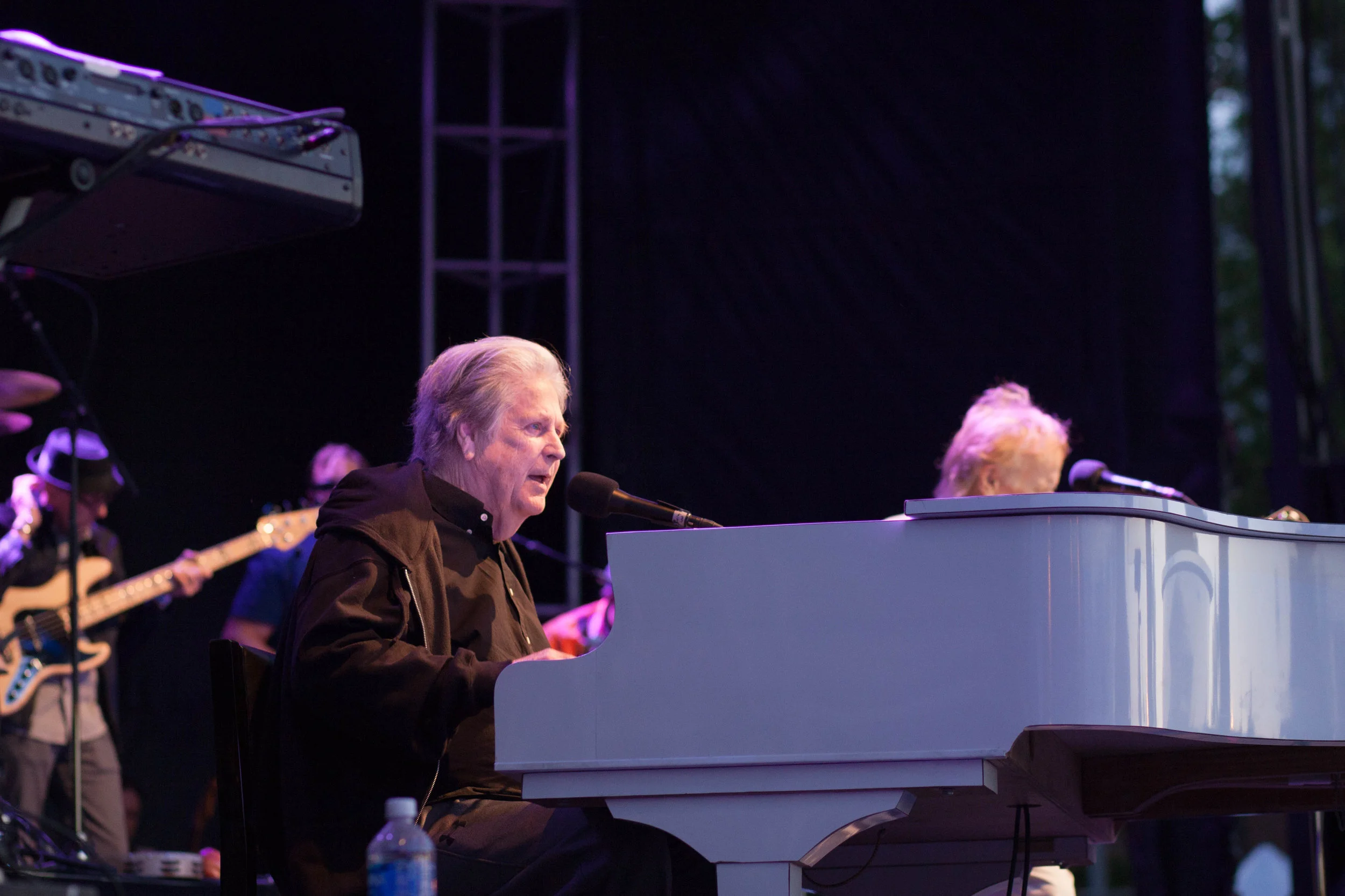 Brian Wilson at McCarren Park, Northside Festival 2016